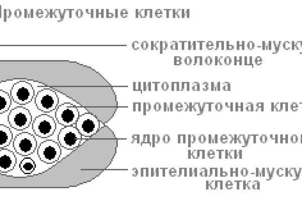 Регистрация на kraken com