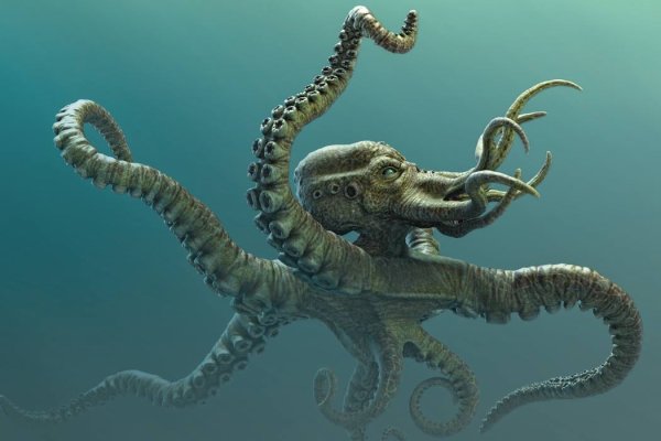 Http kraken onion