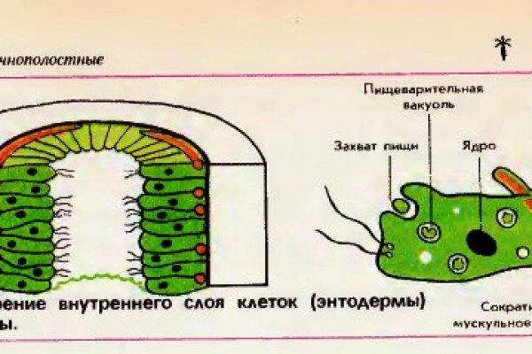 Кракен сайт